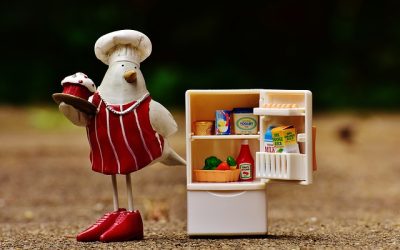 Le réfrigérateur congélateur, un must dans la cuisine